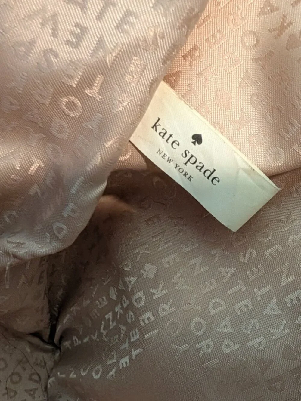 Kate Spade Make A Splash Plenty Of Fish Francis Tote Bag Blue